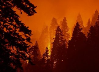 US West Coast wildfires continue to rage: At least 36 people dead, nearly 5 million acres torched - smoke cloud reaches East Coast