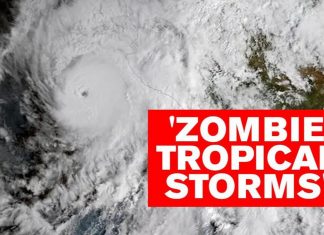 zombie storms, zombie storms video, zombie storms 2020, zombie storms definition, what are zombie storms