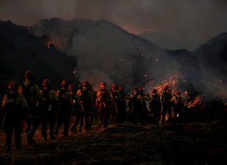 california firefighters