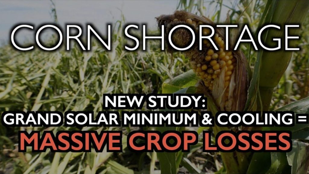Corn shortage Grand Solar Minimum kills crops in video Strange Sounds