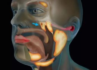 Researchers have discovered a new organ in the throat while carrying out research on prostate cancer
