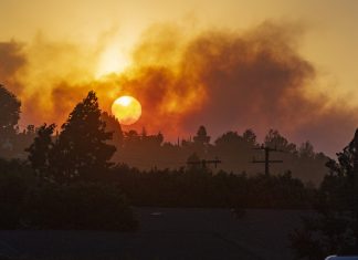 silverado fire california, 60,000 told to evacuate as Silverado fire quickly swells to 2,000 acres