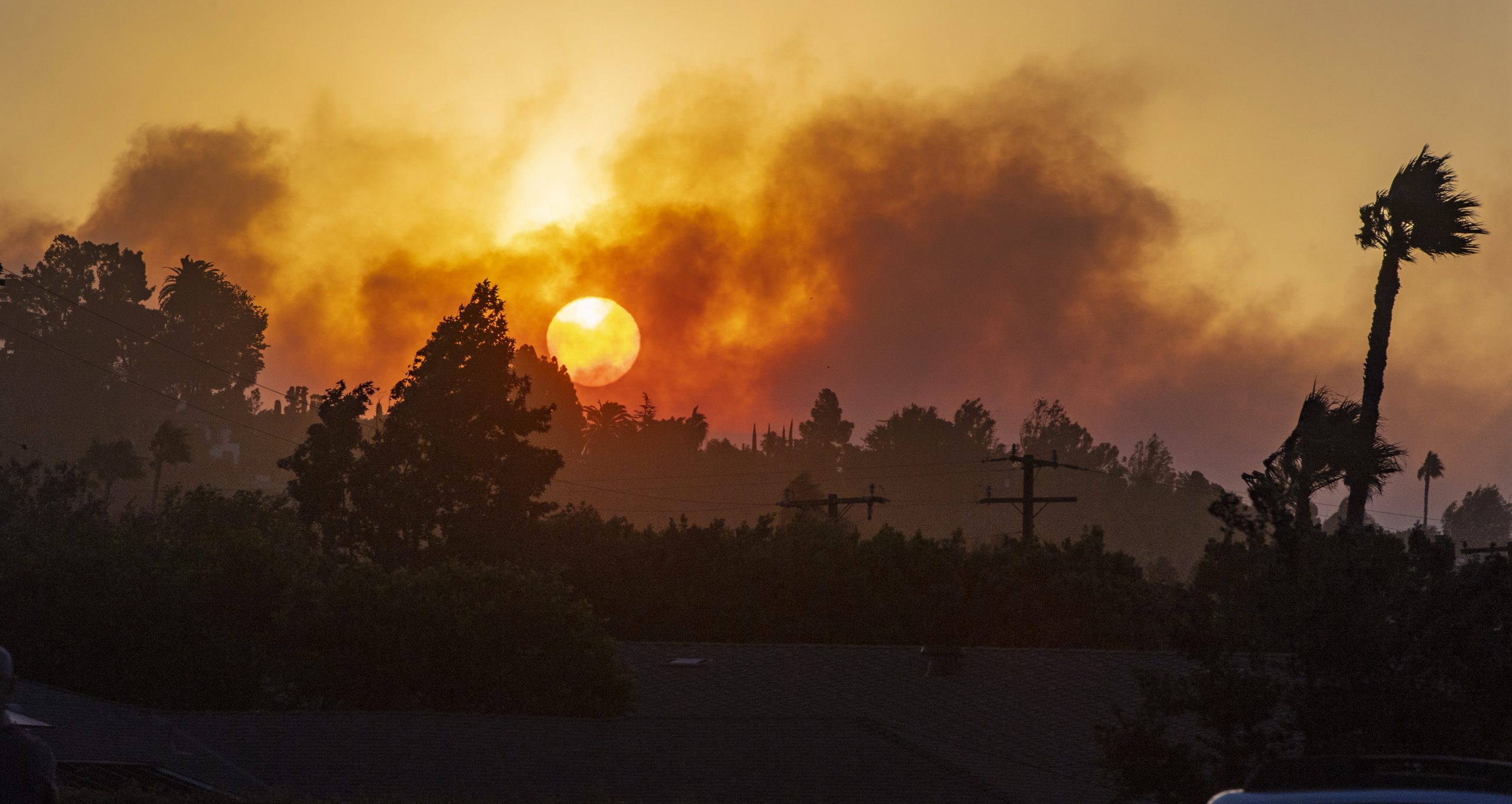 silverado fire california, 60,000 told to evacuate as Silverado fire quickly swells to 2,000 acres