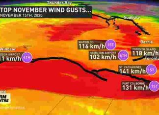 Record-breaking winds shake ground, send debris flying in Ontario Canada, Record-breaking winds shake ground, send debris flying in Ontario Canada video, wind storm ontario, wind storm toronto