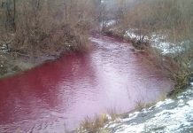 River turns blood red mysteriously in Russia, River turns blood red mysteriously in Russia picture, River turns blood red mysteriously in Russia video, River turns blood red mysteriously in Russia november 2020