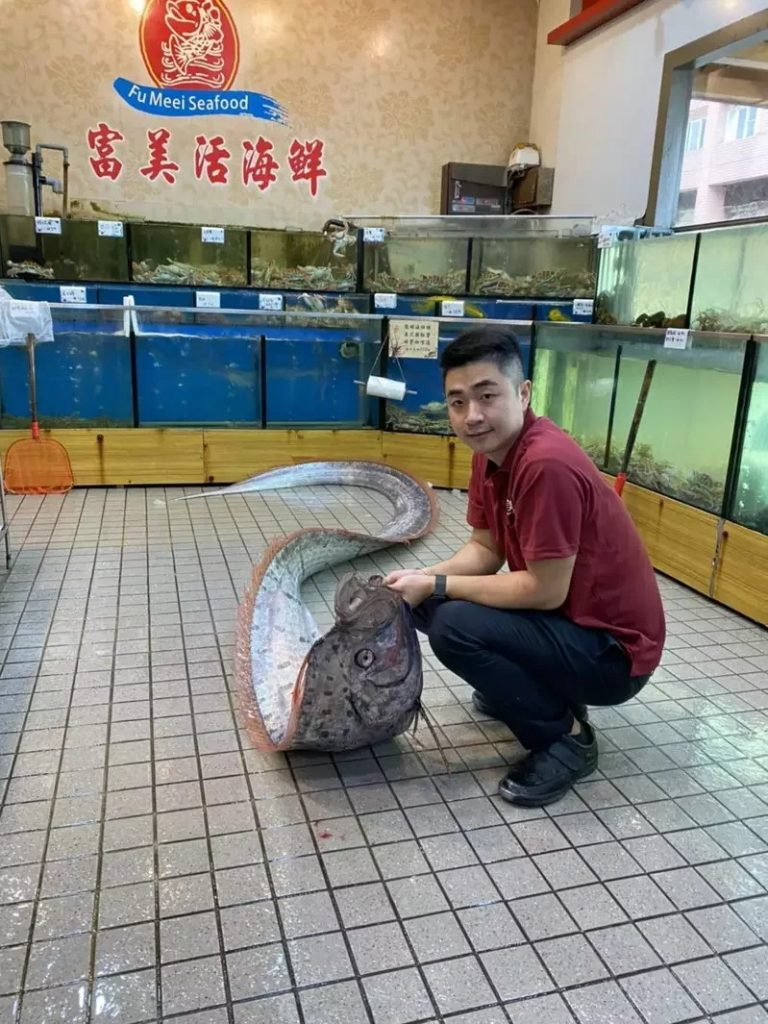 Huge oarfish caught off Taiwan just before two earthquakes