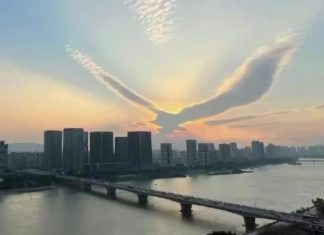 cloud resembling bird, cloud resembling bird pictures, cloud resembling bird video, Cloud resembling bird spreading its wings spotted above Chinese city in January 2021