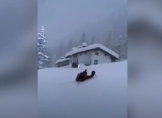 Think snow is deep near you Italian has to wade through FIVE-FEET high snow to leave his house