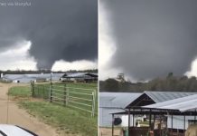 alabama tornadoes, alabama tornadoes march 25 2021, alabama tornadoes march 25 2021 pictures, alabama tornadoes march 25 2021 videos