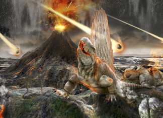 Dinosaur doomsday, What actually killed the dinosaurs, asteroid kills dino, Asteroid dust found at Chicxulub Crater confirms cause of dinosaurs extinction