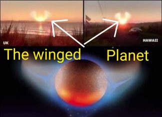 The winged planet