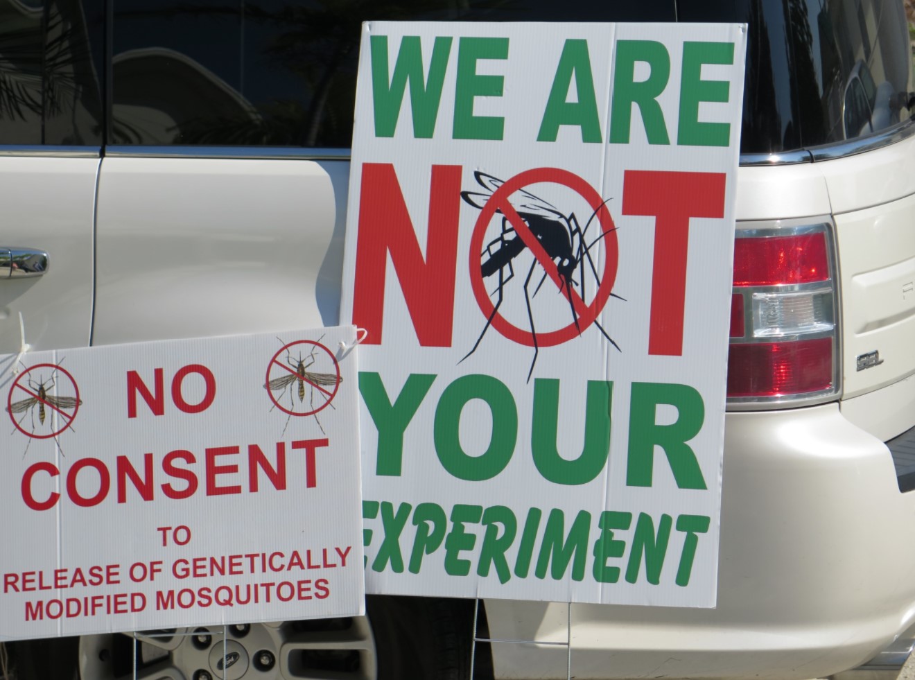 First GMO mosquitoes to be released In the Florida Keys - Strange Sounds