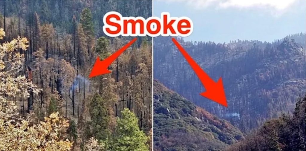 An enormous Sequoia tree is still smoldering and emitting smoke months after California's devastating wildfires