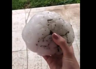 Giant hail storm Mexico on May 17-18, Giant hail storm Mexico on May 17-18 video, Giant hail storm Mexico on May 17-18 photo, Giant hail storm Mexico on May 17-18 news