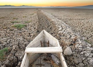Mexico second largest lake now a cemetery of abandoned fishboats, Mexico second largest lake now a cemetery of abandoned fishboats video, Mexico second largest lake now a cemetery of abandoned fishboats photo