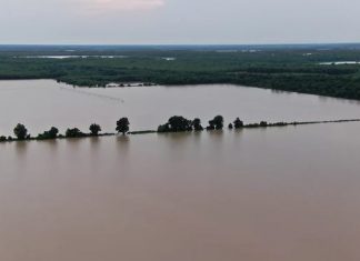 northern Mississippi flooding, northern Mississippi flooding video, northern Mississippi flooding june 2021, northern Mississippi flooding farming