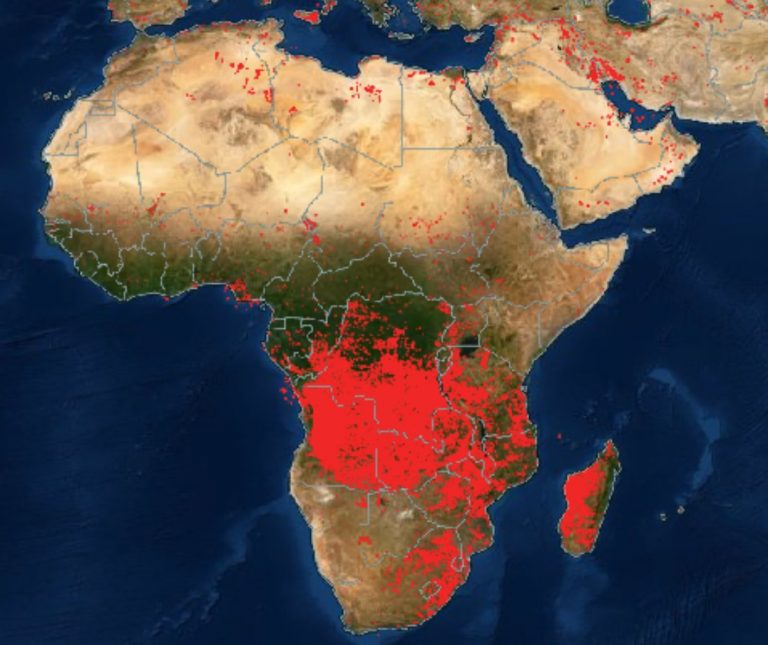Maps of ongoing forest fires around the world are terrifying and Africa