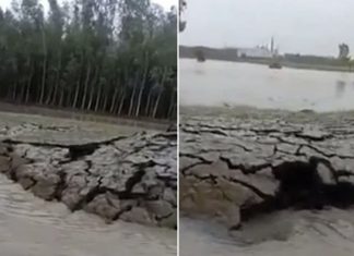 earth rises up from underwater in India, island forms india, ground rises from underwater in india
