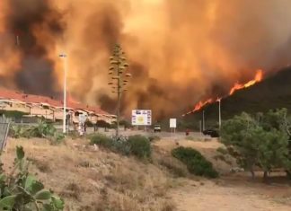 sardinia fire 2021, sardinia fire 2021 video, sardinia fire 2021 pictures