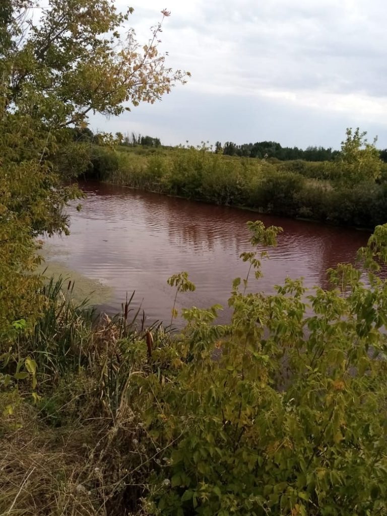 Pond turns blood red in Russia, Pond turns blood red in Russia photo, Pond turns blood red in Russia pictures, Pond turns blood red in Russia august 2021