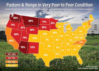 US Pasture and Range in Very Poor to Poor Condition, Pasture conditions in the US are the worst they’ve been since 2012 and that’s bad for inflation, economy, farming, pasture, food, price, september 2021