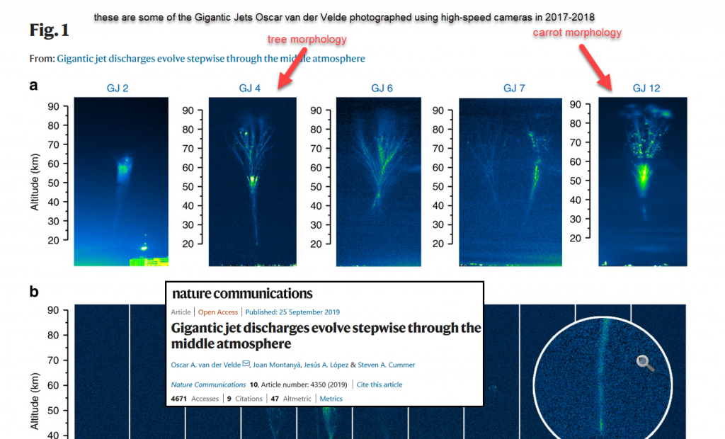 gigantic jet morphology, gigantic jet morphology tree vs carrot