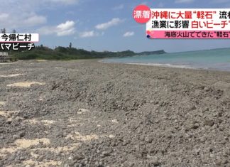 Volcanic pumice threatens to shut down nuclear plants in Japan