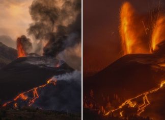 la palma eruption update november 8 2021