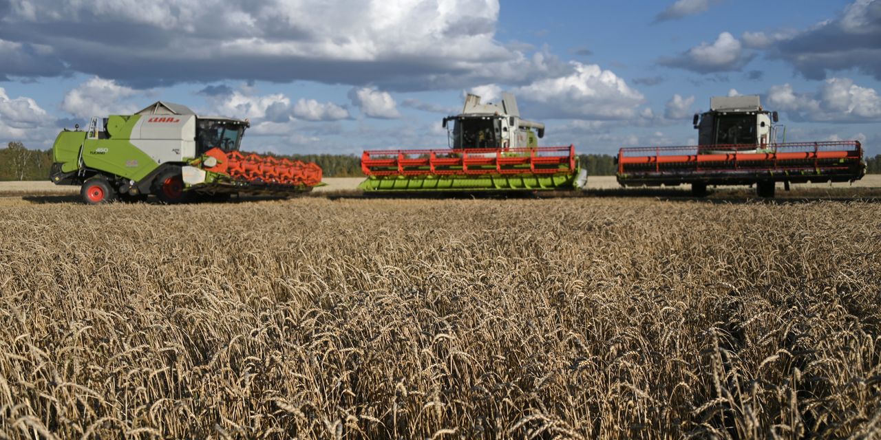The apocalypse is near! Food production collapse! Soaring wheat prices from the U.S. to Russia are raising bread costs - Strange Sounds