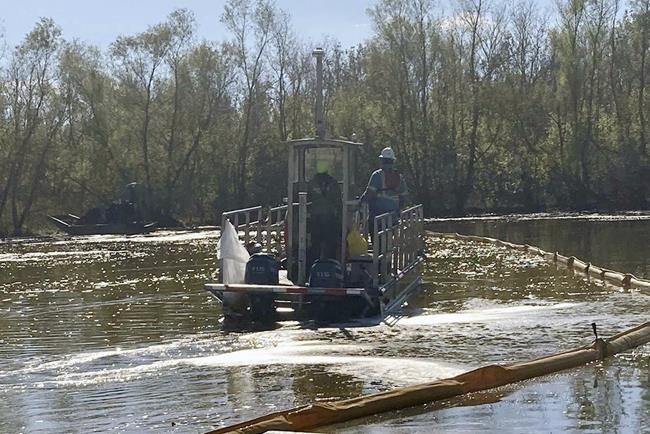 Pipeline spills 300,000 gallons of diesel near New Orleans