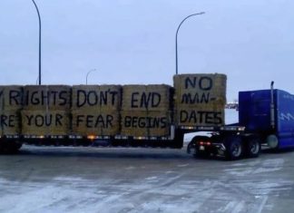 freedom trucker in Canada in January 2022