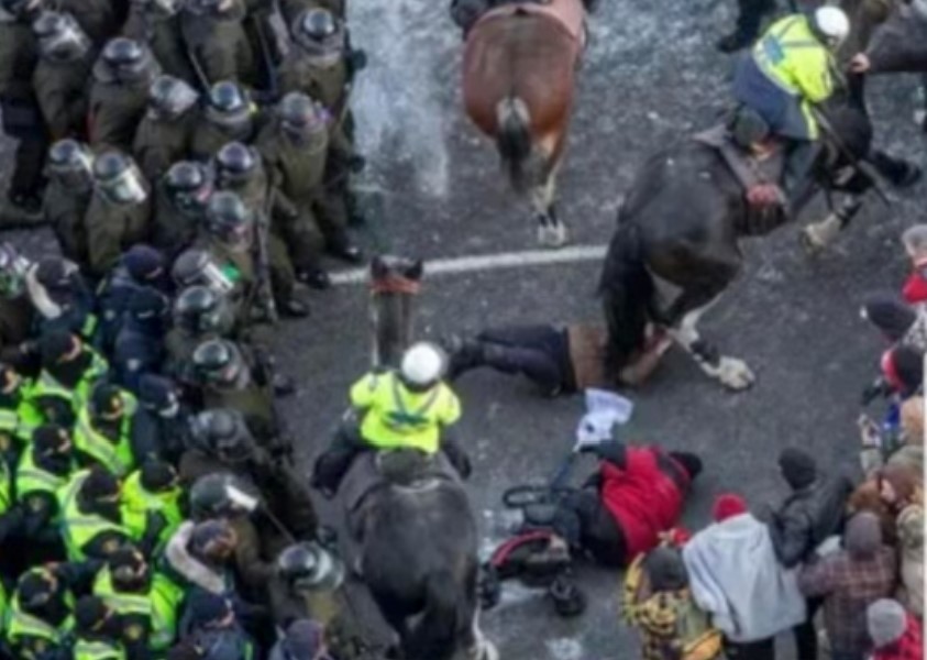 Police horses run over Freedom Convoy protesters in Ottawa