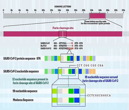 SARS-CoV-2 genetic code