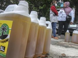 Largest producer Indonesia bans palm oil exports