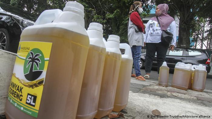 Largest producer Indonesia bans palm oil exports