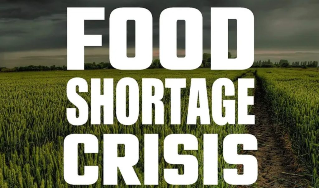 Apocalyptic food shortages 2022