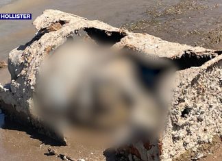 Dead body found in barrel at Lake Mead in Arizona