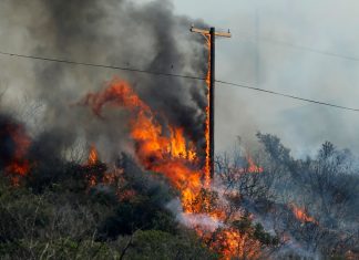 California's largest private landowner closes all forestlands to public indefinitely due to wildfire, drought danger
