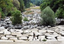 A man walks on the dry riverbed of the Sangone river, a tributary of the Po river, which is experiencing its worst drought in 70 years, in Beinasco, Turin, Italy