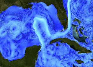 An image from satellite data shows the strong Loop Current and swirling eddies. Christopher Henze, NASA/Ames