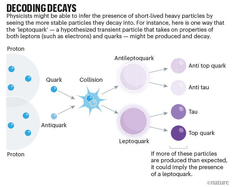 Decoding decays: graphic that shows a possible decay pathway for leptoquarks, and how this particle might be detected. Nik Spencer/Nature