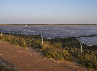 Solar farms like this one in Andrews County, Texas, are gobbling up prime farmland. Some observers see a long-term threat to the nation’s food supply. Matthew Busch