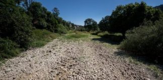 The Doubs river in eastern France has dried up