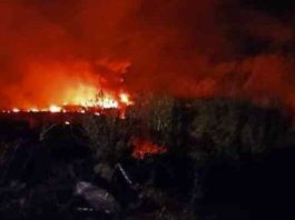 Ukrainian cargo flying explosives from Nis to Jordan crashes