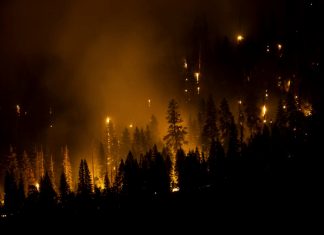 Washburn Fire burns out of control in Yosemite National Park