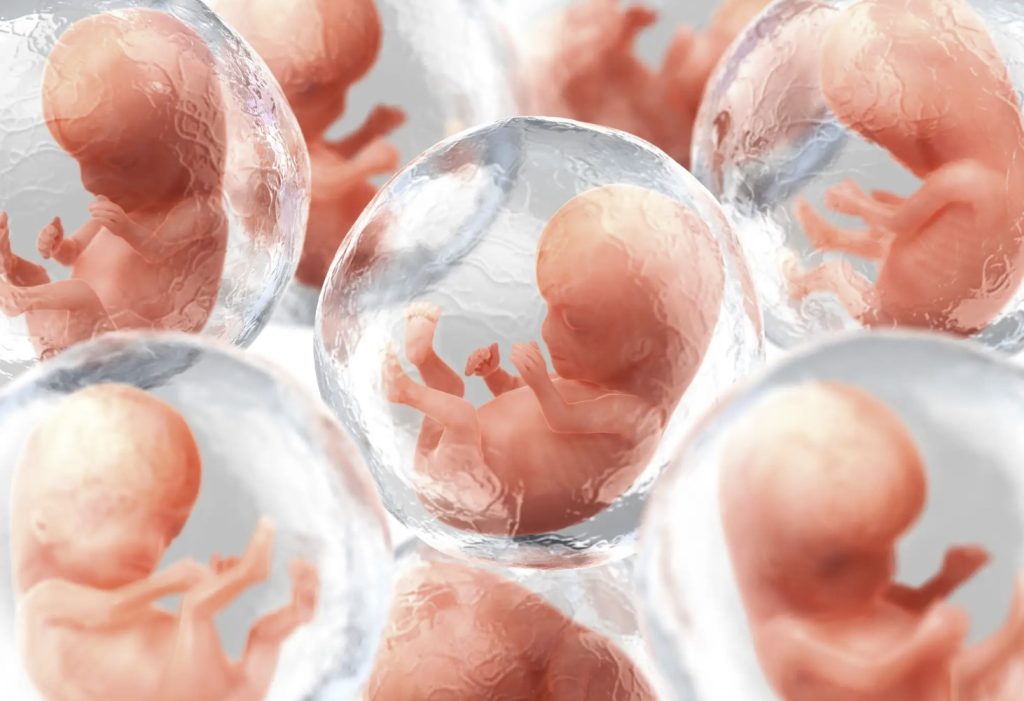 A biotech company wants to take human DNA and create artificial embryos that could be used to harvest organs for medical transplants