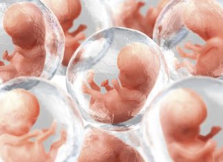 A biotech company wants to take human DNA and create artificial embryos that could be used to harvest organs for medical transplants