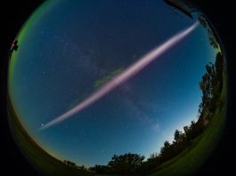 A fish-eye-lens photo of STEVE, the mysterious purple river of light, hanging in the sky over Canada. Picture Alan Dyer-AmazingSky.com