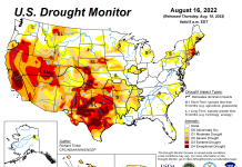 American farmers are killing their own crops and selling cows because of extreme drought