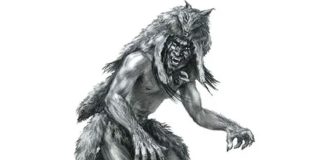 According to Navajo legend, Skinwalkers are shapeshifting witches that disguise themselves as deformed animals like wolves and bears.